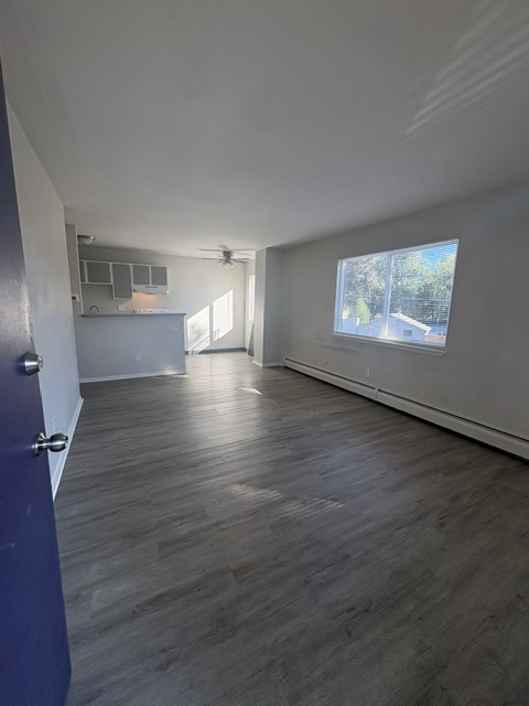 Featured image 3